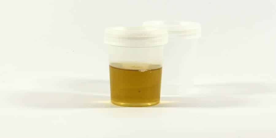 Understanding Spectrum Quick Fix Plus: A Comprehensive Guide for First-Time Users